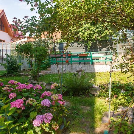 Barok Apartments Brașov Exterior foto